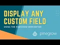 Display ANY WordPress Custom Field using Pinegrow