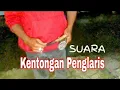 Download Lagu Suara Kentongan || Pedagang Bakso Cuankie