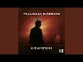 Lagu Chasing Rabbits