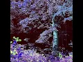 C.O.R.E. - Full Album
