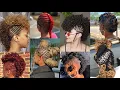 Bold Mohawk Braids for Black Women Trending Hairstyles 2026