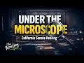 Kratom Under the Microscope in California Senate Hearing Breakdown The Kratom Gals