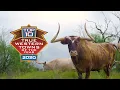 San Angelo Texas - Top True Western City 2020