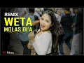 Download Lagu Weta Molas Di'a - Remix Manggarai