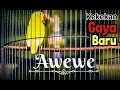 Download Lagu Ngeri ‼️ Lovebird Awewe di BnR Award
