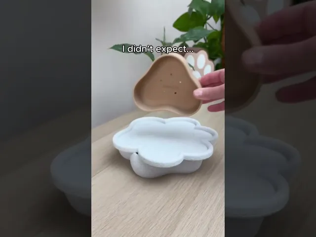 CACTUS PAWLA PLANTER video thumbnail