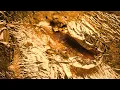 Engelbert & QuiQui feat. Luke van Veen - Goud (radio edit)