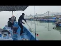 Download Lagu 14/10/2025 Trip Mancing at Sangkar Sungai Udang Penang 