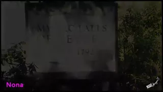 شايلاهالك زيزي عادل 