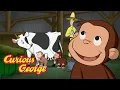 Farmer George Curious George Kids Cartoon Kids Movies
