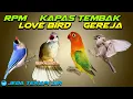 Download Lagu MASTER RPM KAPAS TEMBAK LOVEBIRD GEREJA TARUNG Jeda terapi air AMPUH