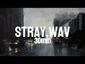 Download Lagu $undown – Stray.wav (30 minute version) | Study music