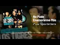 Los Tigres Del Norte - No Pude Enamorarme Más (Live / Audio)