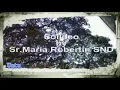 Download Lagu Soli Deo \