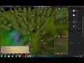 White Berries 2k18