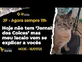 Download Lagu HOJE NÃO TEM JORNAL DOS COICES MAS VENHO DAR OI #jornaldoscoices