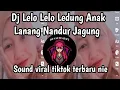 Download Lagu DJ LELO LELO LEDUNG ANAK LANANG NANDUR JAGUNG STAIEL KENDANG SOUND VIRAL TIKTOK TERBARU NIE