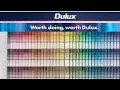 Shopping for Paint from Bunnings