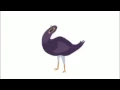 Trash Doves GIF