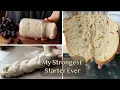 Lagu Mijn sterkste starter ooit – gemaakt van druivenmost! Natuurlijk, ideaal voor alle soorten brood ...
