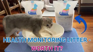 Our Experience with PrettyLitter s Health Monitoring Cat Litter