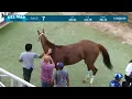 Bit s Tiger Magic wins race 7 at Del Mar 26