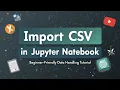 Import CSV in Jupyter Notebook Python for Beginners Made Easy