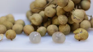 How to eat Longan fruit What does Longan Taste like