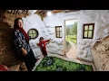 Heart of the Mountain A family s struggle for survival and life in a cabin