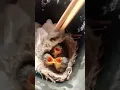 Download Lagu Memberi pakan anakan burung cici padi