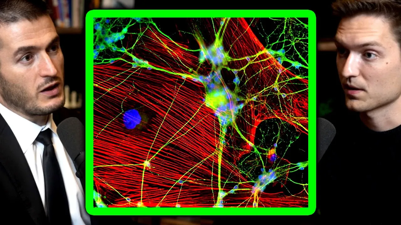 How to detect neuron spikes | Bliss Chapman and Lex Fridamn