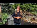 July Garden Tour Garden Answer