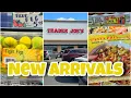 Shop with me Trader Joe s NEW ARRIVALS trader joe s haul