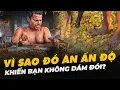 Download Lagu VÌ SAO ĐỒ ĂN ẤN ĐỘ KHIẾN BẠN KHÔNG DÁM ĐÓI?