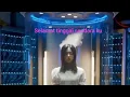 Download Lagu Selamat tinggal saudara ku Part akhir #trending #dracin #drakor