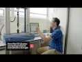 Working at Gore as a New Graduate