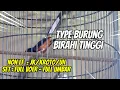 Download Lagu HATI HATI UNTUK MURAI SEPERTI INI !! TERLIHAT GA ADA EMOSI KALAU PAS DIRUMAH
