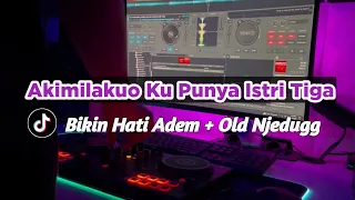 Download DJ AKIMILAKUO KU PUNYA ISTRI TIGA SLOW VIRAL TIKTOK TERBARU 2024 YANG KALIAN CARI MP3