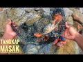 Download Lagu Tuah Anak,Dapat Ketam Banyak,Catch and Cook!!