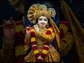 Download Lagu banke Bihari Lal Teri Jay Hove 🙏🙏🌺🌺🌺🌺#bhakti #love #song #ytshorts