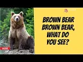 Colorful Adventures A Creative Remake of Brown Bear Brown Bear for Kids