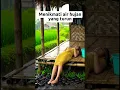 Download Lagu dalam kesepian aku menikmati nya  #comedy #cute #cutebaby #shortvideo #celebration #pengatinviral