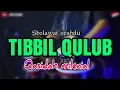 Download Lagu SHOLAWAT TIBBIL QULUB KOPLO AGAIN (QASIDAH MODERN)