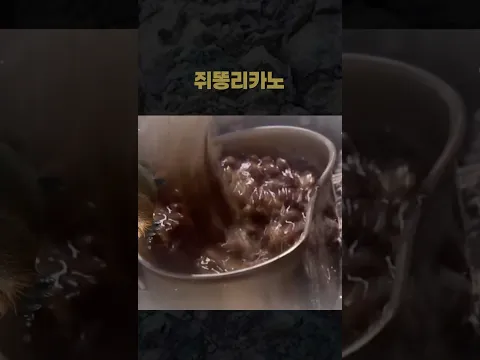 쥐똥리카노