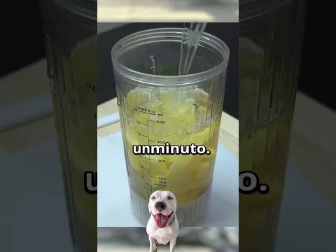 Quien toma papa con sábila y miel