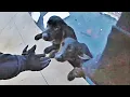 Indiana Officer Rescues 2 Labrador Retrievers Clinging to Edge of icy Pond