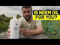 Almost Everything you need to know about Neem Oil as an Organic Pesticide