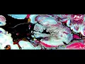 Tyler Rohn x Dave Cappa - Gravity (Official Music Video)