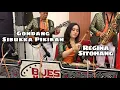 Download Lagu GONDANG SIBUKKA PIKIRAN - REGINA SITOHANG B-JES MUSIK