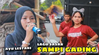 lagu sasak sampi gading dirilis kembali cover ayu sicantik mungilnya sonata indonesia